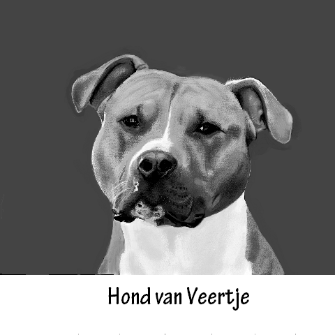 Hond van Veertje